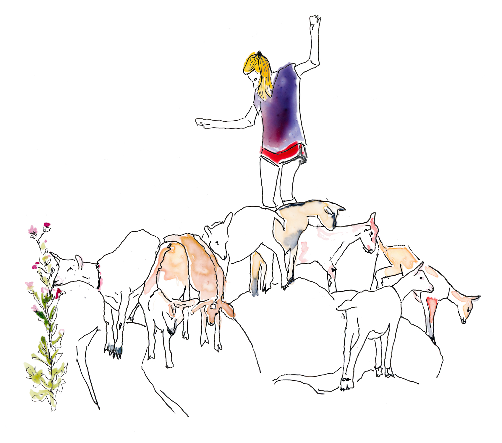 Louisa Conrad standing on goats, watercolor illustration