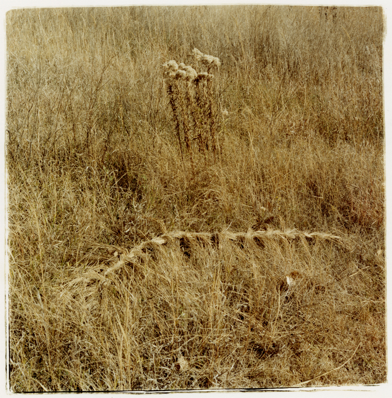 Braided grass, Nebraska