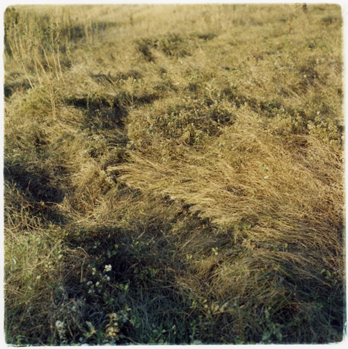 Braided grass, Nebraska