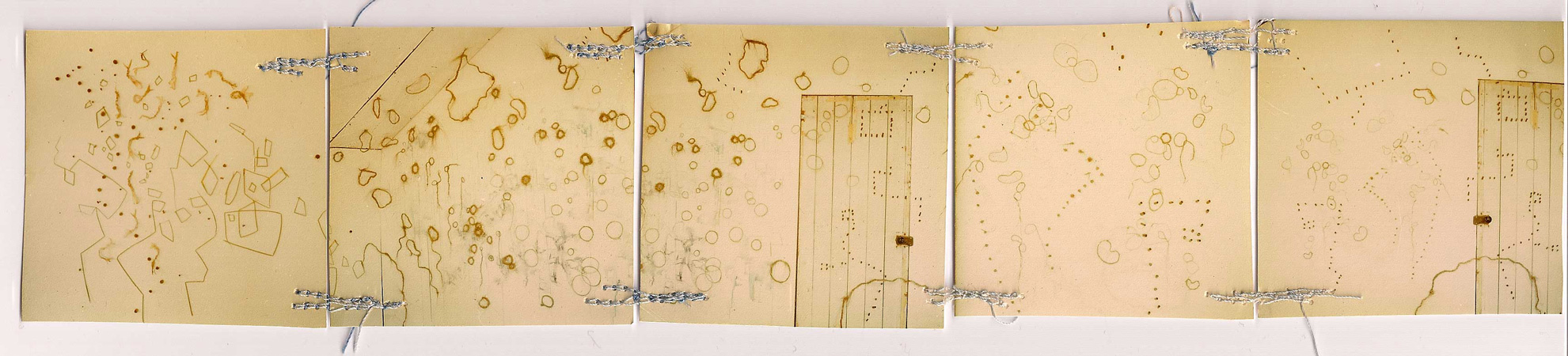 Nebraska field, tassel