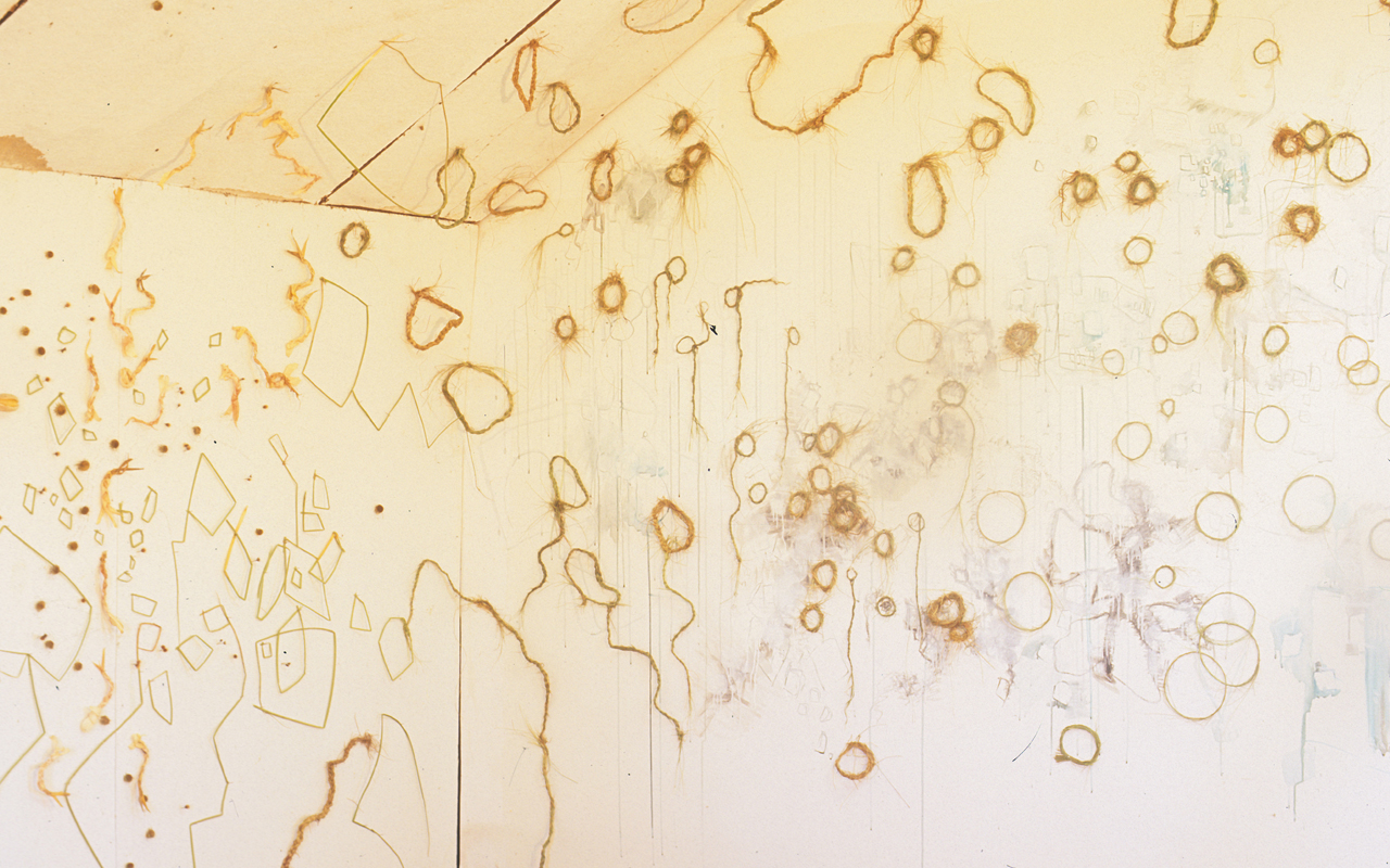 Nebraska field, tassel