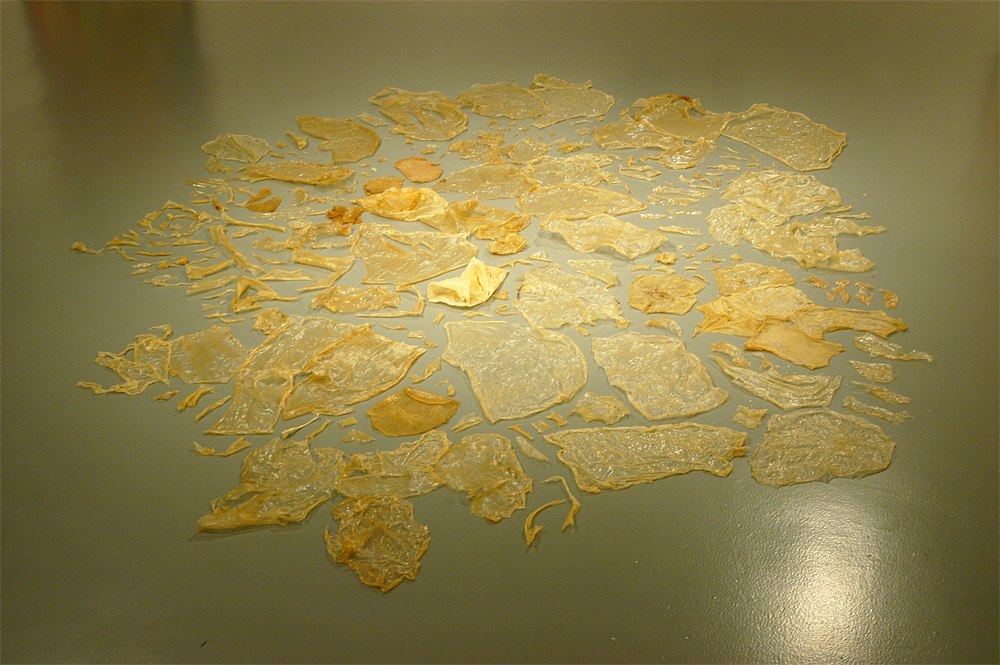 Instress cornstarch skins