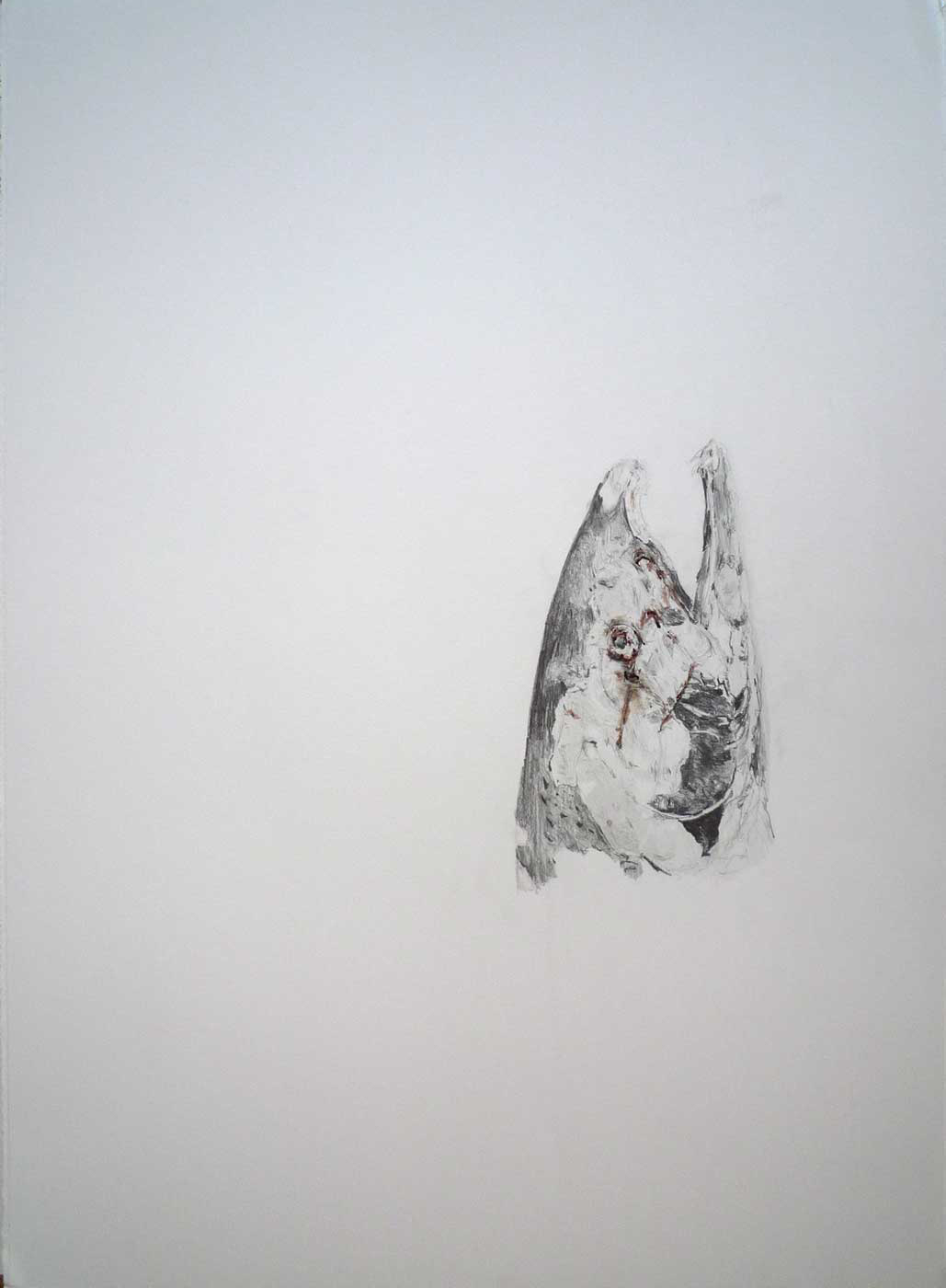 Graphite salmon head drawing
