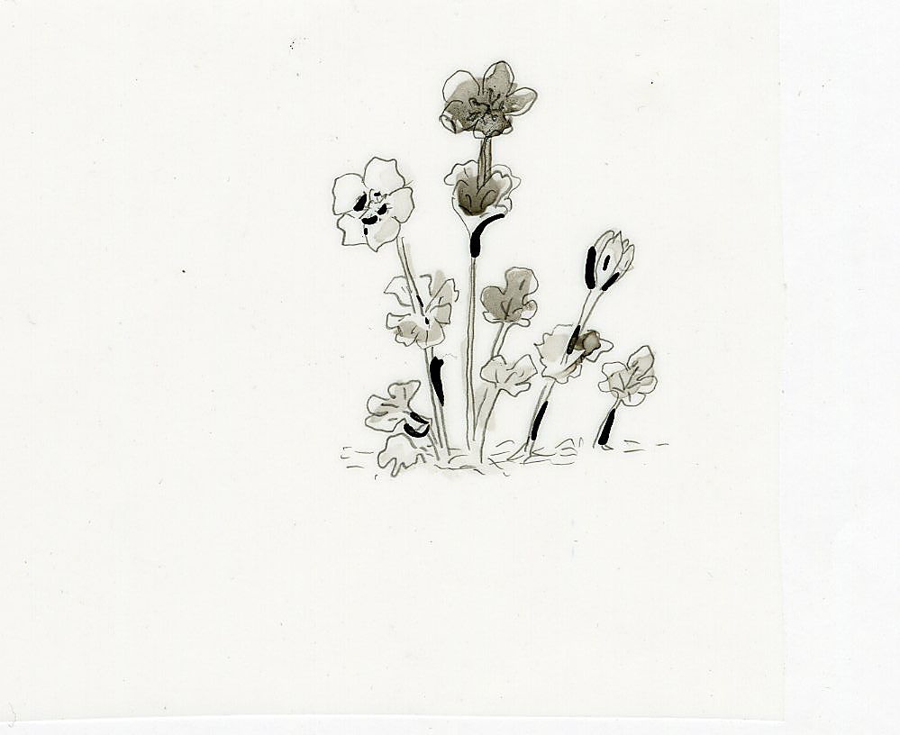 Pencil drawing of arctic landscape