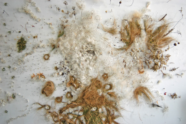 Vermont Studio Center